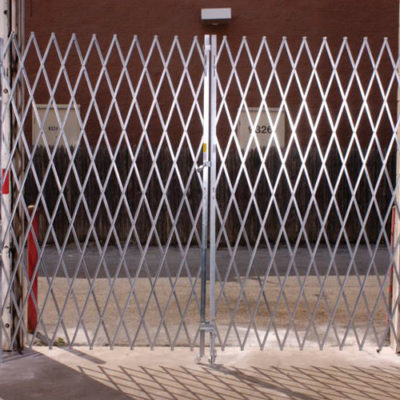 double fixed security gates